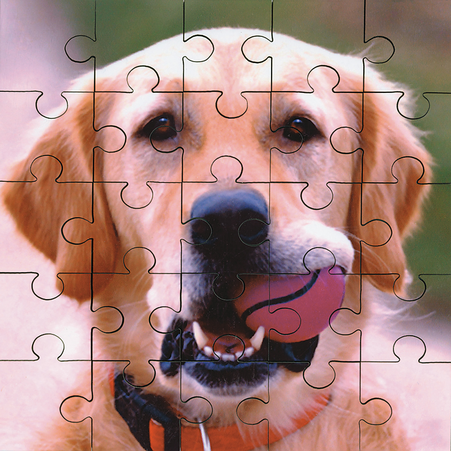 PHOTO JIGSAW PUZZLE
